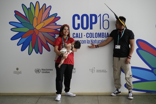 Discussions come to a halt on key matters during the last day of the UN biodiversity conference in Colombia.