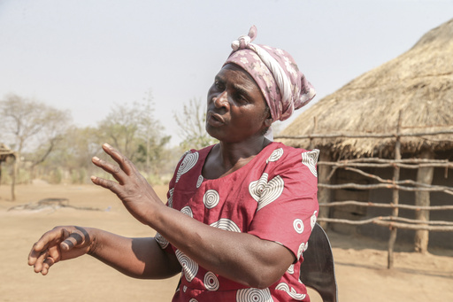 Turning challenges into gains: Zimbabwean farmers embrace maggots for drought resilience and success