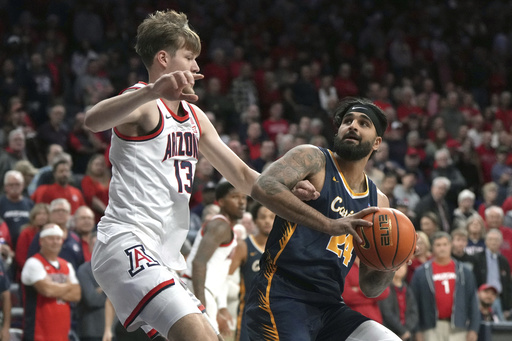 Love contributes 17 points as No. 10 Arizona begins its season with a 93-64 victory against Canisius.