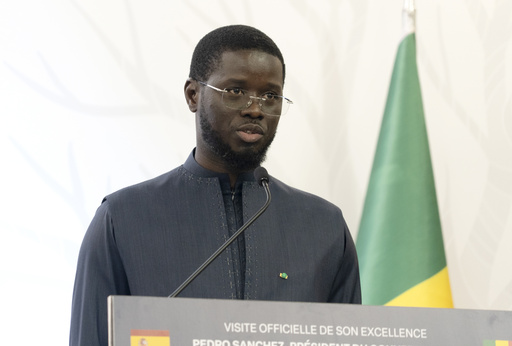 Senegal concludes final day of intense campaigning before crucial legislative vote