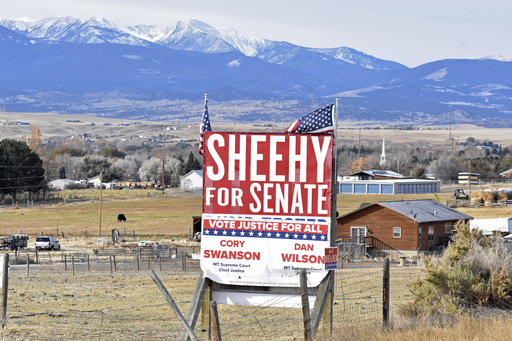 An arrival of newcomers and funding reshapes Montana politics, leading to a Senate victory for Republicans.