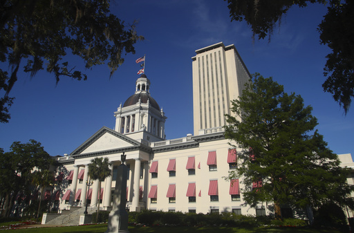 New Florida legislators could assess DeSantis’ power during the later years of his administration.