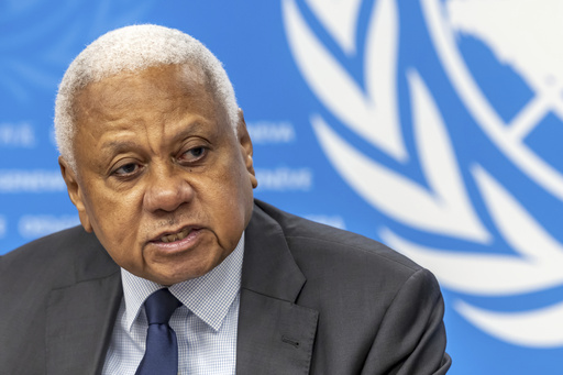 Leader of UN-supported expert group highlights paramilitary forces in Sudan for sexual violence amid ongoing conflict