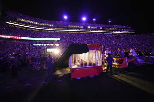 LSU student taken into custody after making threats against governor advocating for a tiger at football games