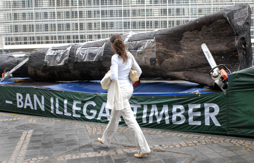 EU delays deforestation legislation for a year following backlash from international producers.