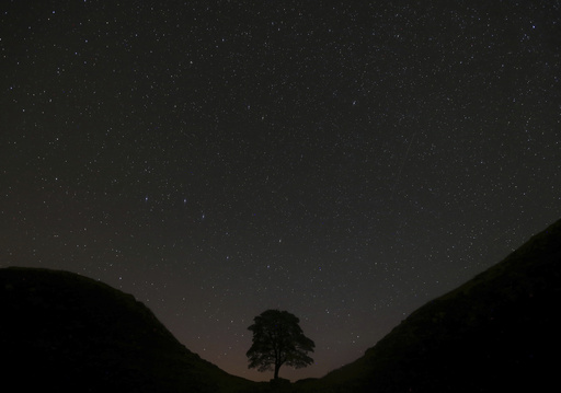 Trial set for two men charged with felling Britain’s iconic Sycamore Gap tree.