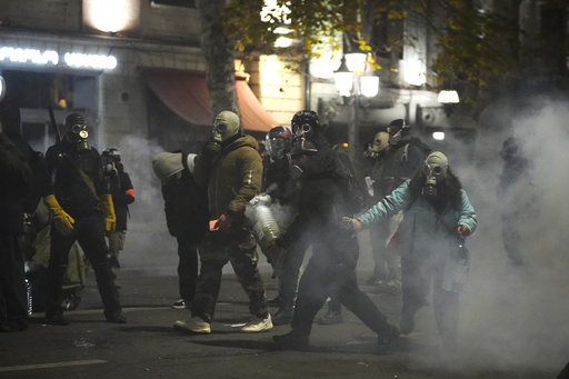 Germany, France, and Poland denounce violent actions against demonstrators in Georgia