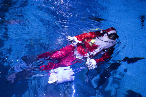 Santa Claus takes a festive plunge with sharks at a Rio de Janeiro aquarium