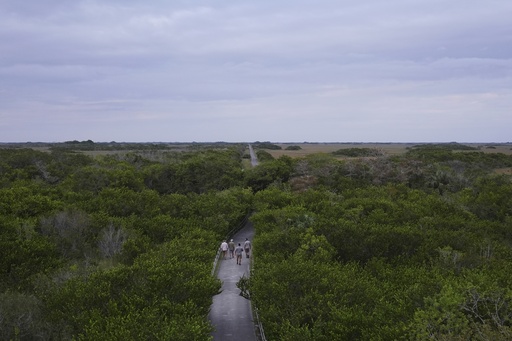 Key Insights from AP’s Report on Everglades Restoration Initiatives