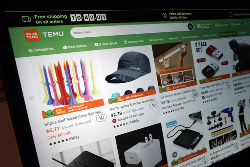 Vietnam halts operations of Chinese e-commerce platform Temu