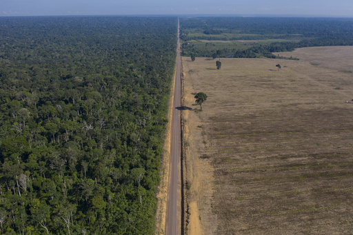 Conservation organizations criticize new legislation endangering soybean regulations in Brazil’s Amazon rainforest