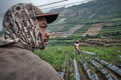 Barriers related to finance and community engagement hinder geothermal energy progress in Southeast Asia.