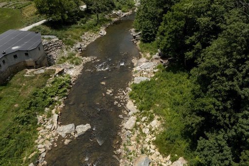 Federal officials suggest safeguarding giant salamanders affected by Hurricane Helene