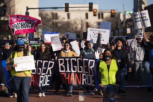 Abortion advocates redirect efforts to medication through litigation, legislative proposals, and potential federal measures.