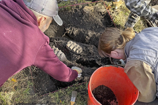 New York resident discovers mastodon jawbone while tending to his garden