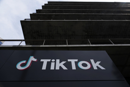 TikTok seeks Supreme Court intervention to halt US ban pending a sale.