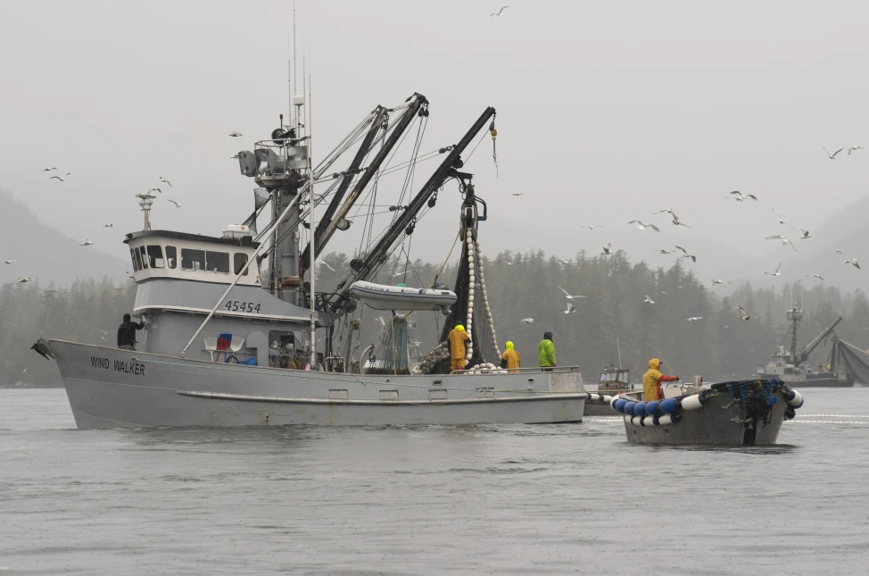 The fishing vessel Wind Walker fishes near Sitka, Alaska, March 29, 2022, during the Sitka Sound sac roe fishery. (James Poulson/The Daily Sitka Sentinel via AP)

