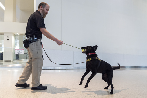 TSA Calendar Dog Argo Safeguards Travelers by Detecting Explosives