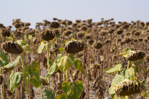 UN discussions end without consensus on addressing increasing global drought risks.