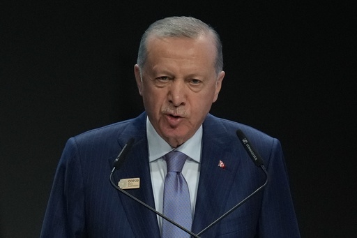 Erdogan from Turkey proposes to facilitate discussions between Sudan and the UAE