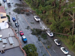 Historic First: Tornado Warning Shakes Downtown San Francisco Amid Fierce Storms