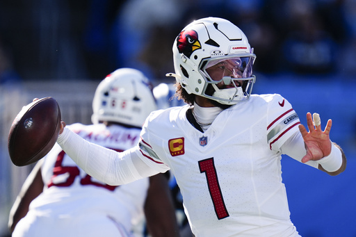 Cardinals miss playoffs for third consecutive year after defeat against struggling Panthers