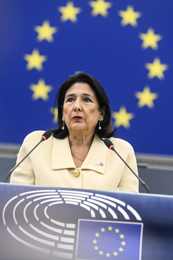 Georgia’s departing president calls on EU to increase support for demonstrators.