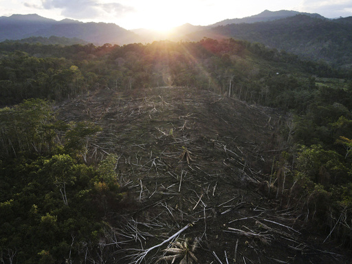 Indigenous group in Amazon triumphs in recent phase of legal fight for reclaimed land