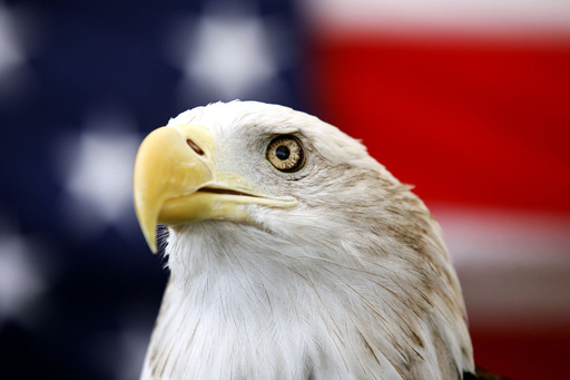 Biden enacts legislation designating the bald eagle as the official national bird of the United States.