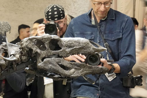 A $45M stegosaurus named Apex is now showcased in New York. Here’s what researchers aim to discover about it.