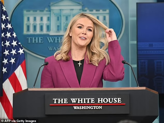 No one could remember the James S. Brady briefing room so packed, as new White House press secretary Karoline Leavitt (pictured) stepped into the lions' den on Tuesday.

