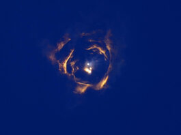 SpaceX's mega rocket Starship and booster separate during a test flight from Starbase in Boca Chica, Texas, Thursday, Jan. 16, 2025. (AP Photo/Eric Gay)