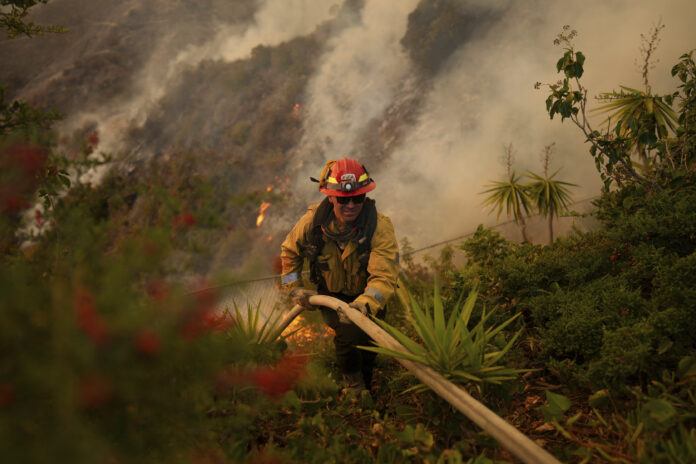 A firefighter sets up a hose while fighting the Palisades Fire in Mandeville Canyon, Saturday, Jan. 11, 2025, in Los Angeles. (AP Photo/Eric Thayer)