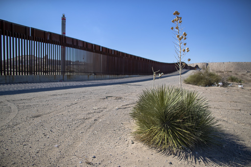 Poll reveals US adults favor border security measures but largely disagree with apprehending individuals in schools and churches.