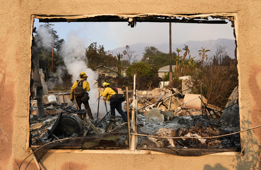 Individuals Affected by Fires in the Los Angeles Region