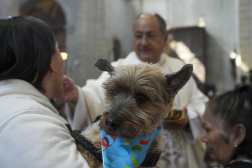 Dog Blessings? Take Them to Mexico City’s Cathedral for St. Anthony’s Help