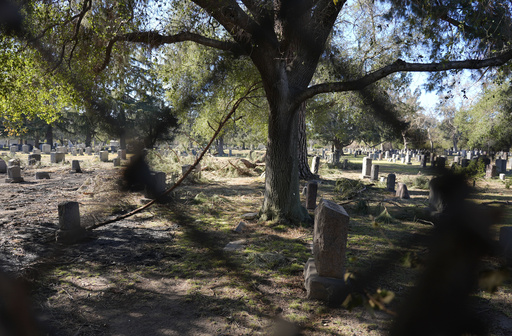 Octavia Butler envisioned a fire-devastated LA, but her Altadena graveyard remains intact.