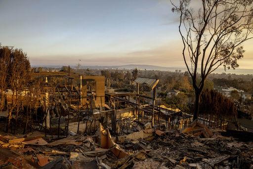 Early projections suggest LA County wildfires may result in the highest costs ever seen in the US.