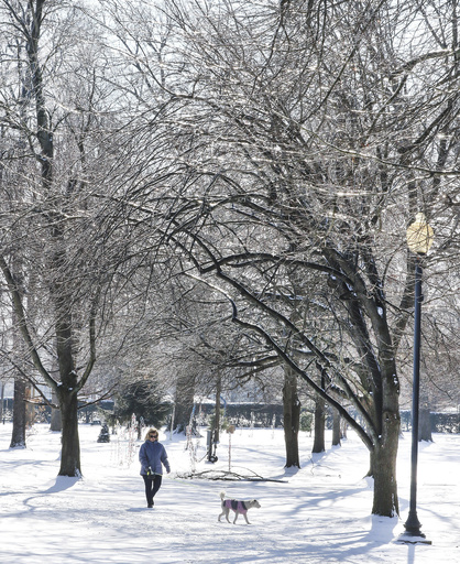 Winter storm progresses into the Deep South, leading to emergency declarations and school shutdowns