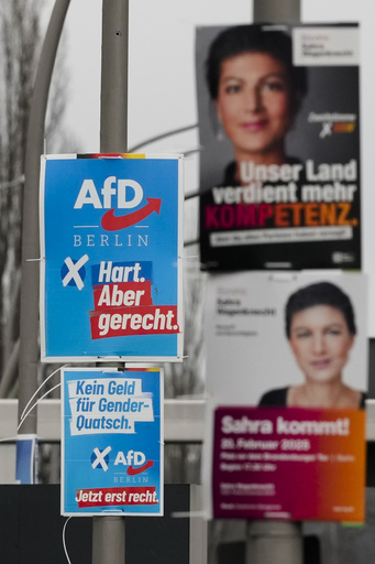 A right-wing party employs a fake flight ticket to promote deportations in Germany