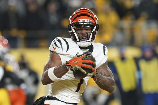 Joe Burrow and the Cincinnati Bengals maintain their postseason chances with a narrow 19-17 victory over the Steelers.