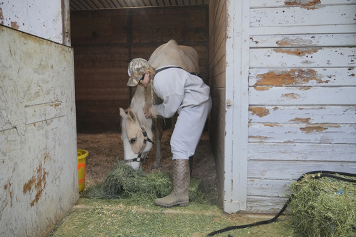 Amidst encroaching LA wildfires, Californians rushed to evacuate pets including dogs, cats, horses, and pigs.