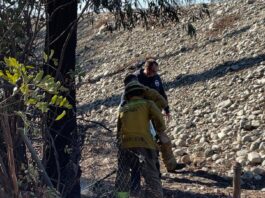 A man has been arrested after firefighters caught him 'actively lighting fires' in Los Angeles county (Photo: Irwindale Police Department/Facebook)