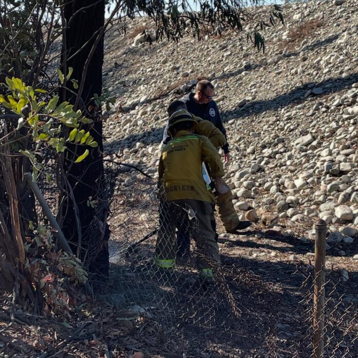 A man has been arrested after firefighters caught him 'actively lighting fires' in Los Angeles county (Photo: Irwindale Police Department/Facebook)