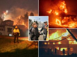 Karen Bass, Los Angeles Fire