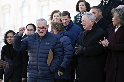 Senate Democrats team up with Republicans to support legislation for detaining migrants charged with crimes.