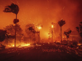 The Palisades Fire ravages a neighborhood amid high winds in the Pacific Palisades neighborhood of Los Angeles, Tuesday, Jan. 7, 2025. (