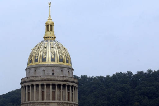 West Virginia gun lobby leader designated to fill seat of lawmaker-elect detained for issuing threats