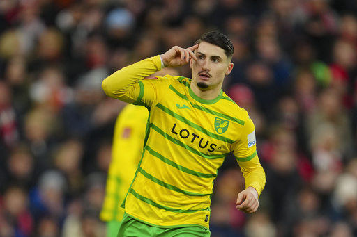 Norwich’s Borja Sainz receives six-match suspension for spitting at rival player