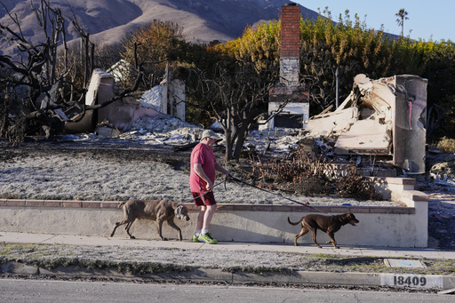 As wildfires persist, attention shifts towards restoring neighborhoods in Los Angeles that were devastated.